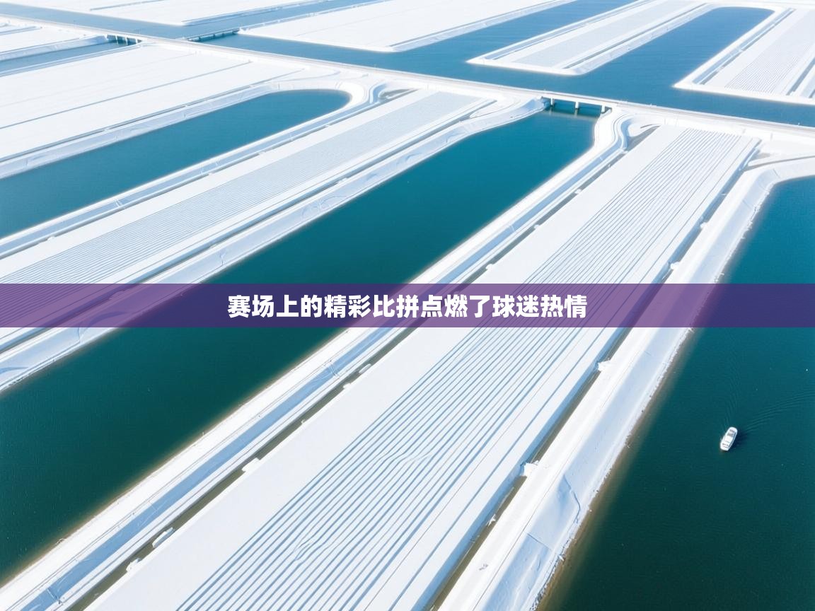赛场上的精彩比拼点燃了球迷热情  第2张