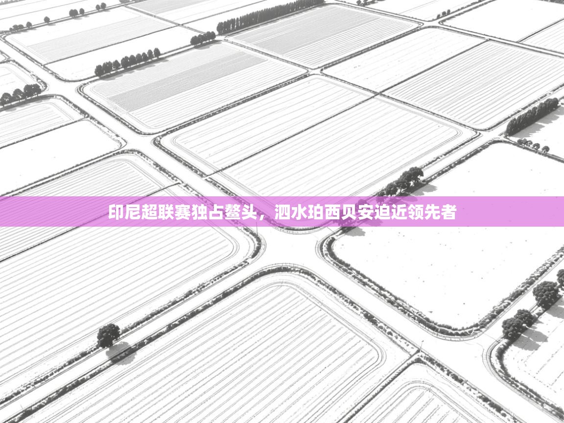 印尼超联赛独占鳌头，泗水珀西贝安迫近领先者  第1张