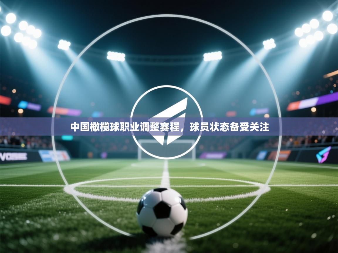 中国橄榄球职业调整赛程，球员状态备受关注  第1张
