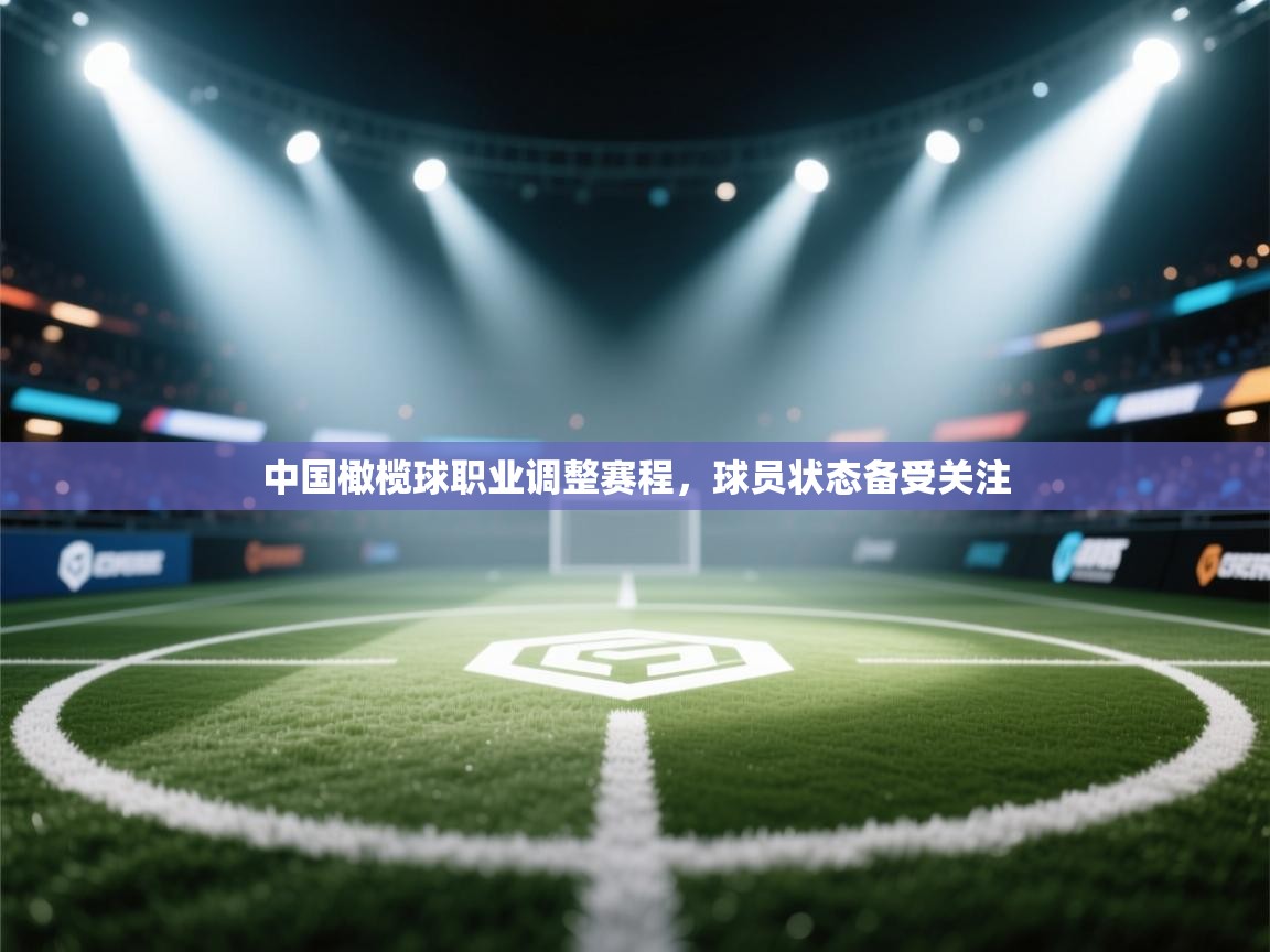 中国橄榄球职业调整赛程，球员状态备受关注  第2张