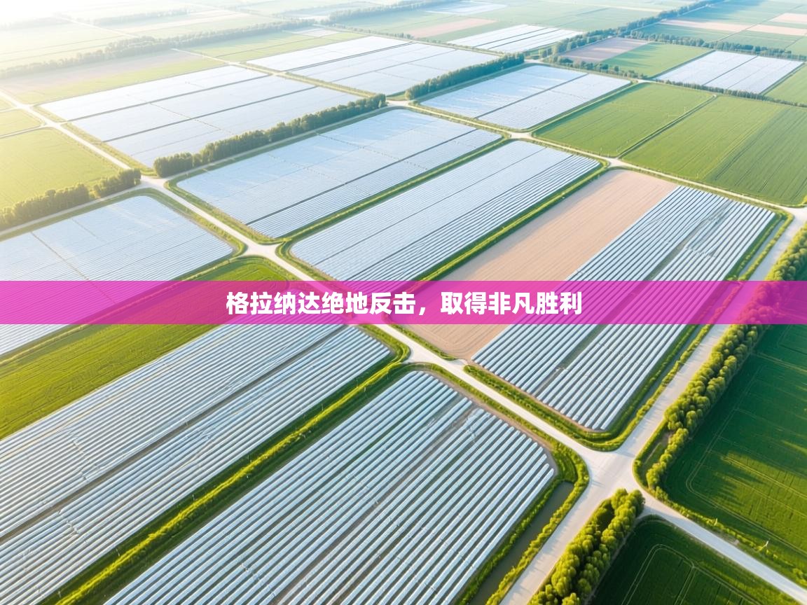 格拉纳达绝地反击，取得非凡胜利  第2张